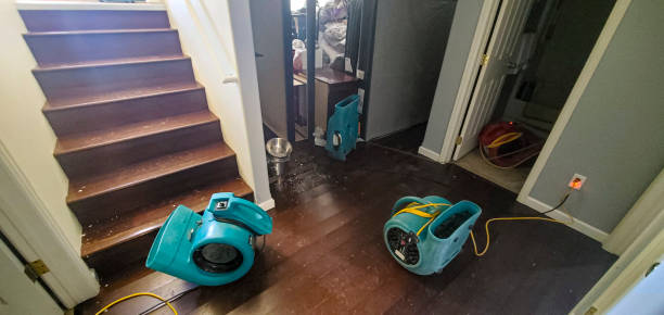 Best Flooded house restoration  in Westhampton, NY