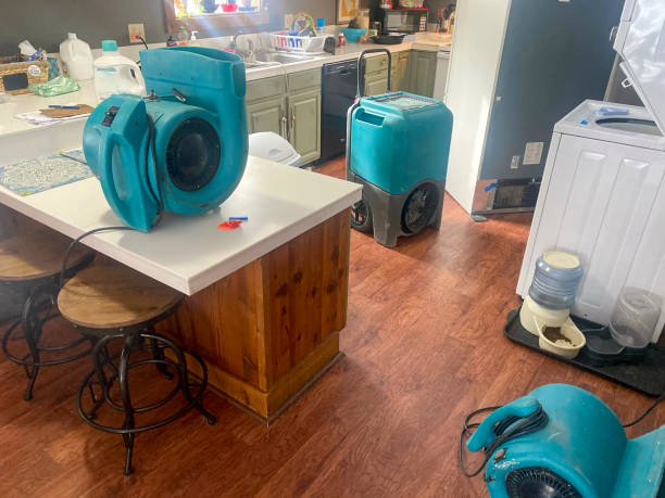 Best Local water damage restoration  in Westhampton, NY