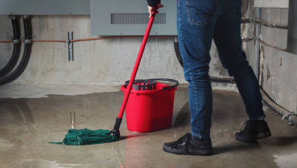 Best Water damage restoration experts  in Westhampton, NY