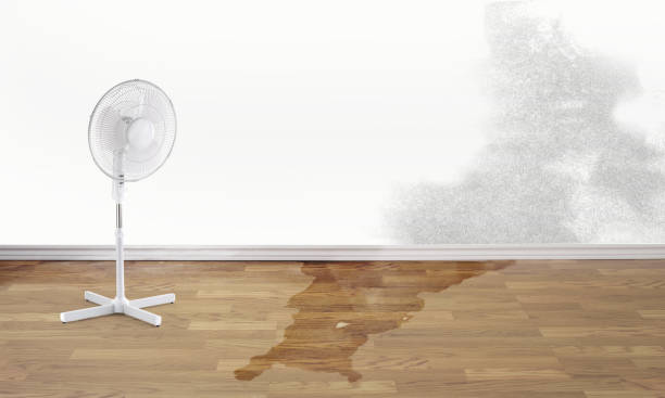 Best Commercial water damage restoration  in Westhampton, NY