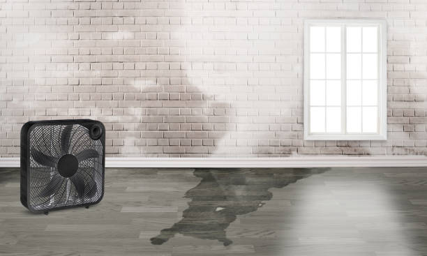 Best Water damage restoration specialists  in Westhampton, NY