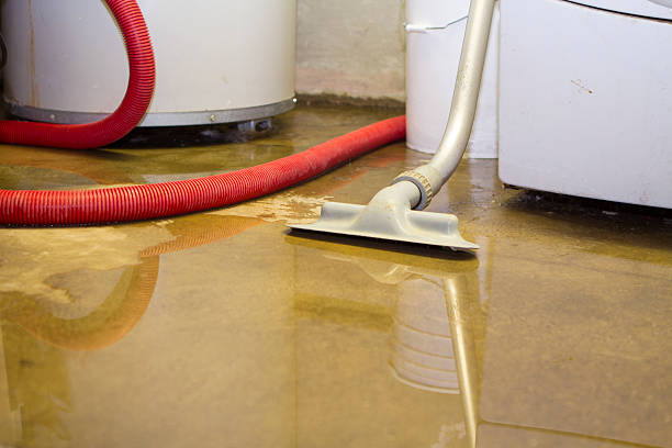 Best Carpet water damage restoration  in Westhampton, NY