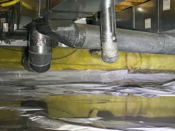 Best Mold removal after water damage  in Westhampton, NY