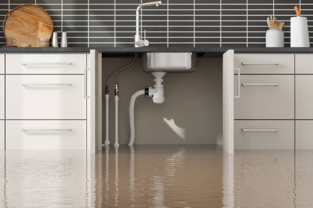 Best Water damage restoration near me  in Westhampton, NY