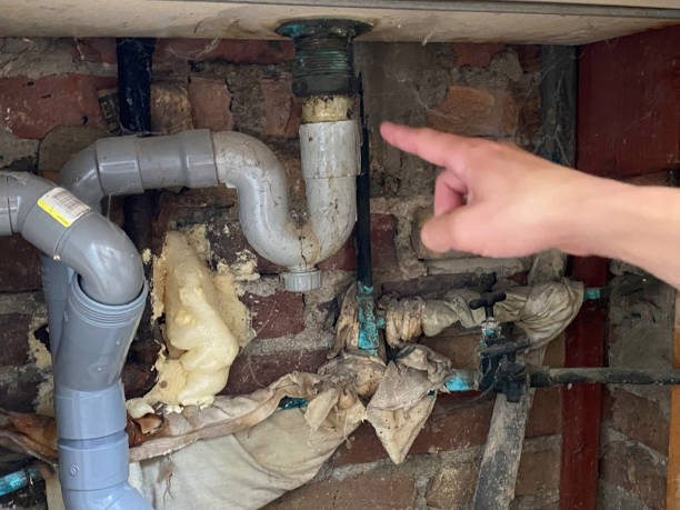 Best Flooded house restoration  in Westhampton, NY