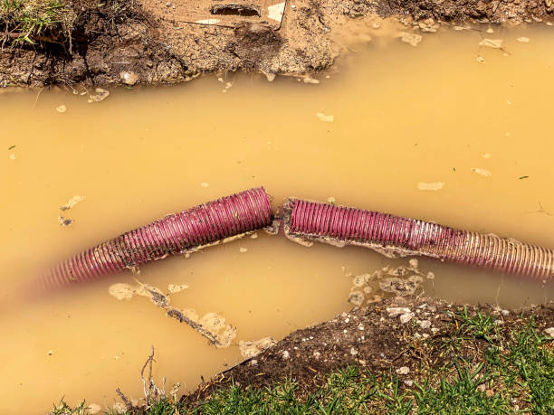Best Water damage cleanup near me  in Westhampton, NY