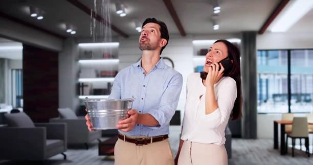Best Mold removal after water damage  in Westhampton, NY